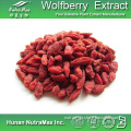 High Quality Goji Berry Extract 20% 30% 40% 50% Polysaccharides